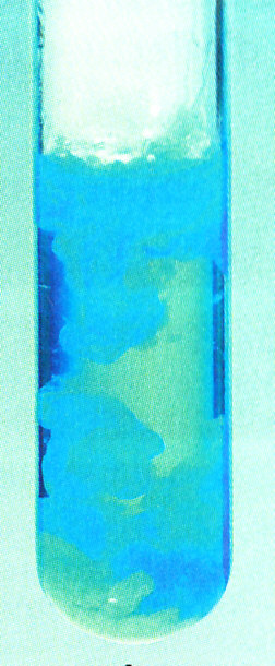 precipites_0002.jpg