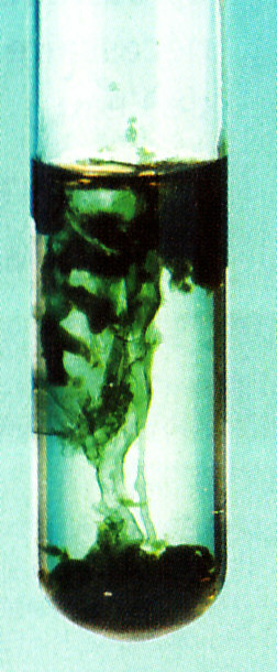 precipites_0003.jpg