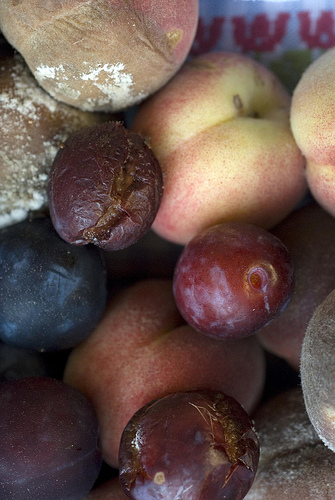 fruit_pourri.jpg