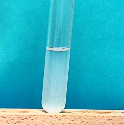 IMAG0042.JPG