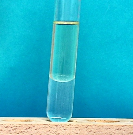 IMAG0036.JPG