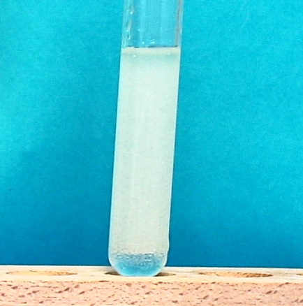 IMAG0038.JPG