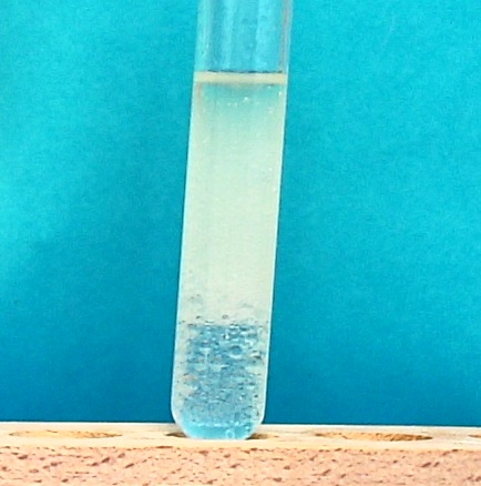 IMAG0042.JPG