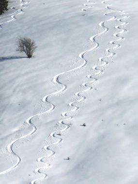 trajectoireSki.jpg